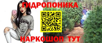 Альфа ПВП Нальчик