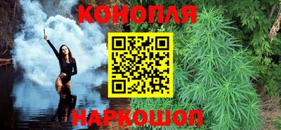 Альфа ПВП Нальчик