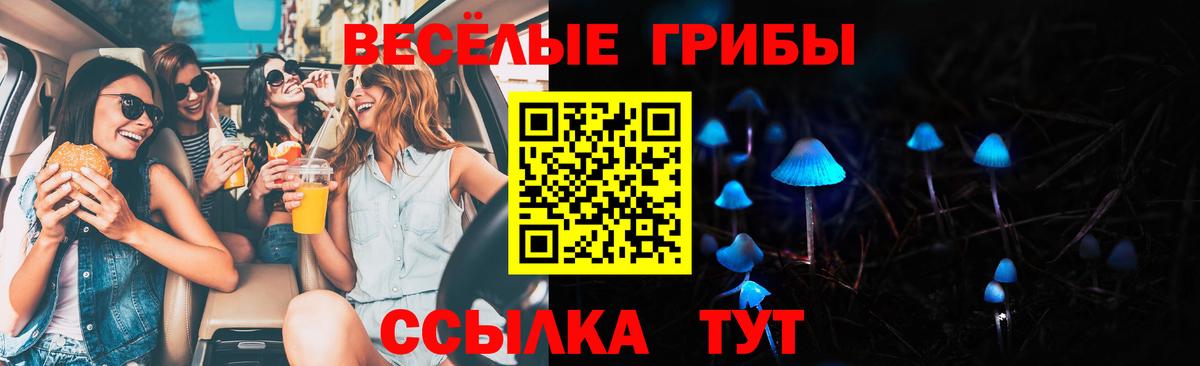 Галлюциногенные грибы Psilocybe  Вход с VPN  Гагарин 
